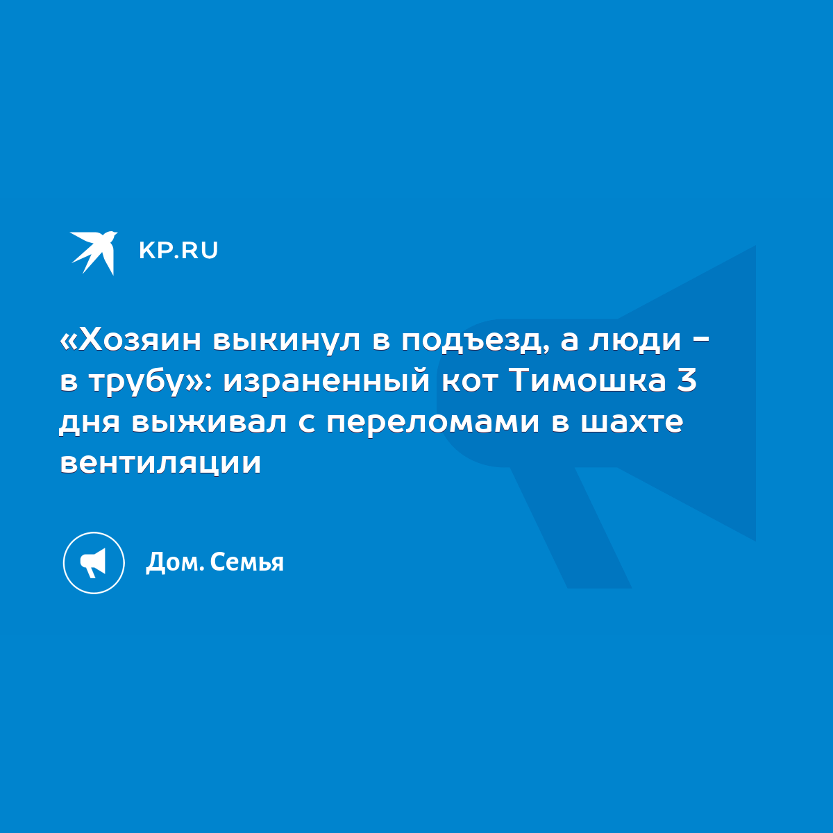 Хозяин выкинул в подъезд, а люди - в трубу»: израненный кот Тимошка 3 дня  выживал с переломами в шахте вентиляции - KP.RU