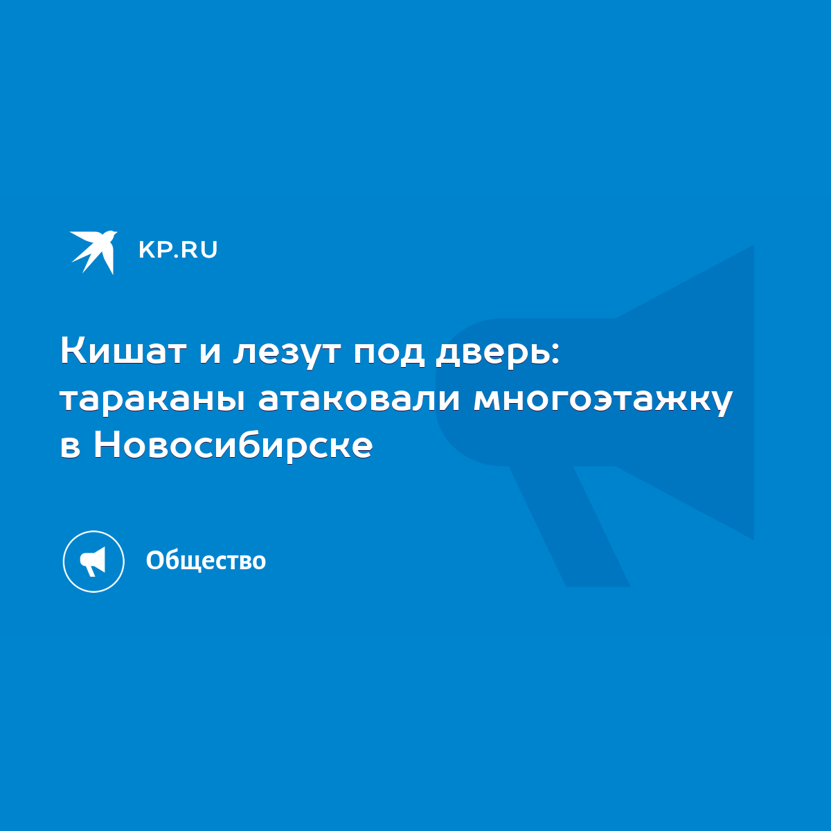 Кишат и лезут под дверь: тараканы атаковали многоэтажку в Новосибирске -  KP.RU