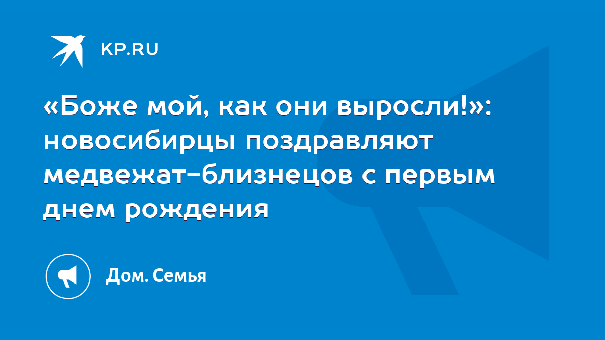 Боже мой, как они выросли!»: новосибирцы поздравляют медвежат-близнецов с  первым днем рождения - KP.RU