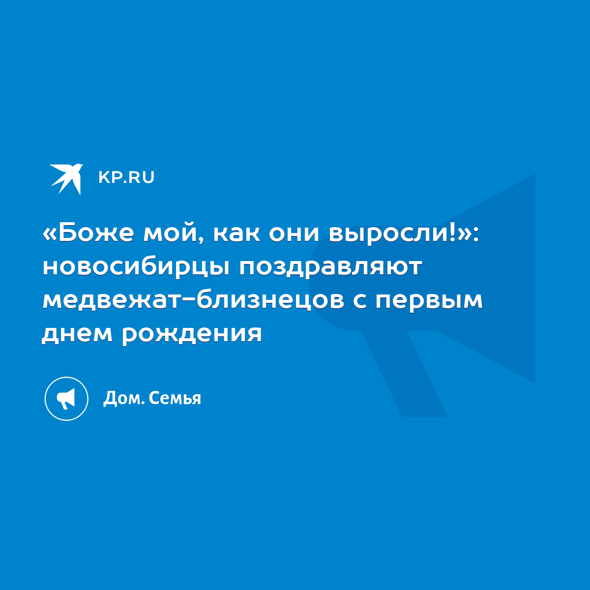 Боже мой, как они выросли!»: новосибирцы поздравляют медвежат-близнецов с  первым днем рождения - KP.RU