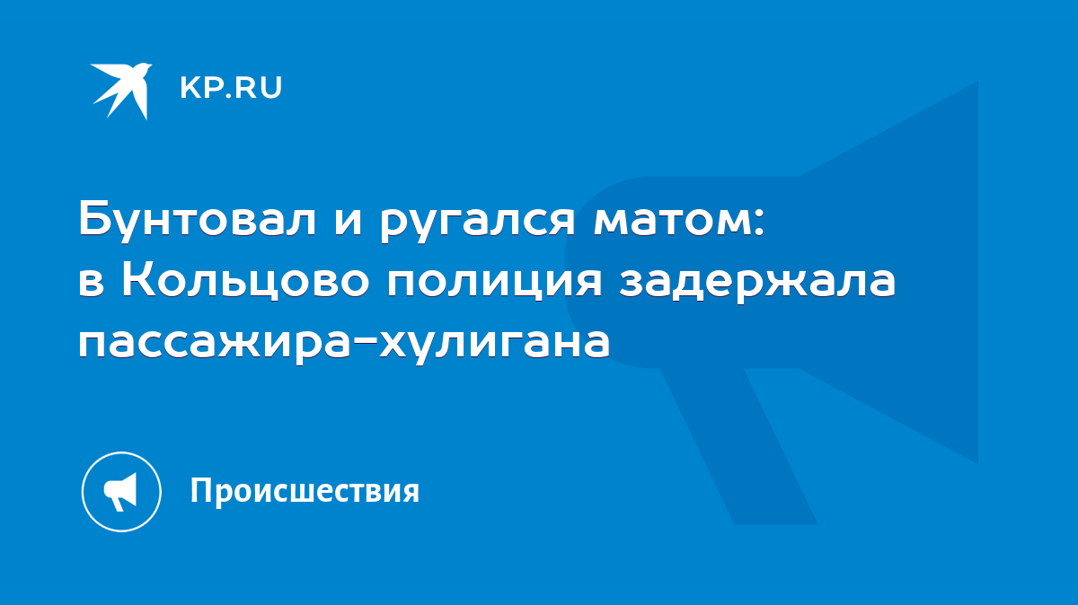 Бунтовал и ругался матом: в Кольцово полиция задержала пассажира-хулигана -  KP.RU