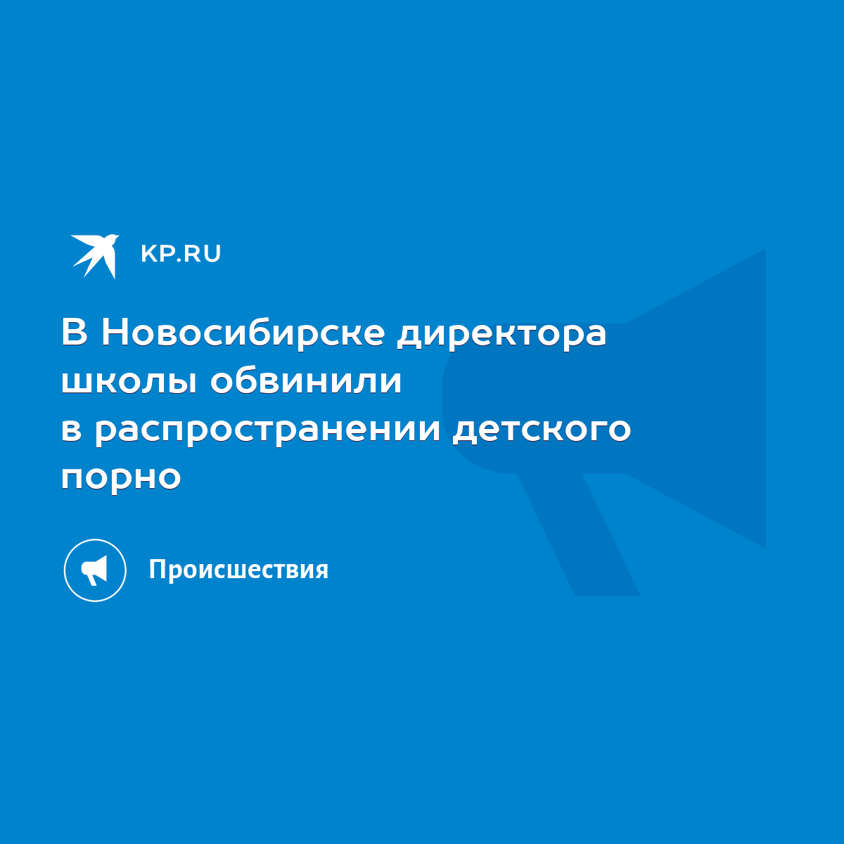 В Новосибирске директора школы обвинили в распространении детского порно -  KP.RU