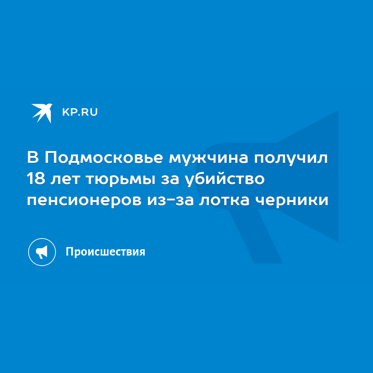 В Подмосковье мужчина получил 18 лет тюрьмы за убийство пенсионеров из-за  лотка черники - KP.RU