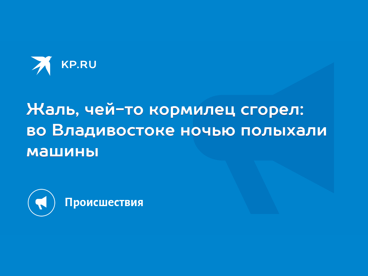 Жаль, чей-то кормилец сгорел: во Владивостоке ночью полыхали машины - KP.RU