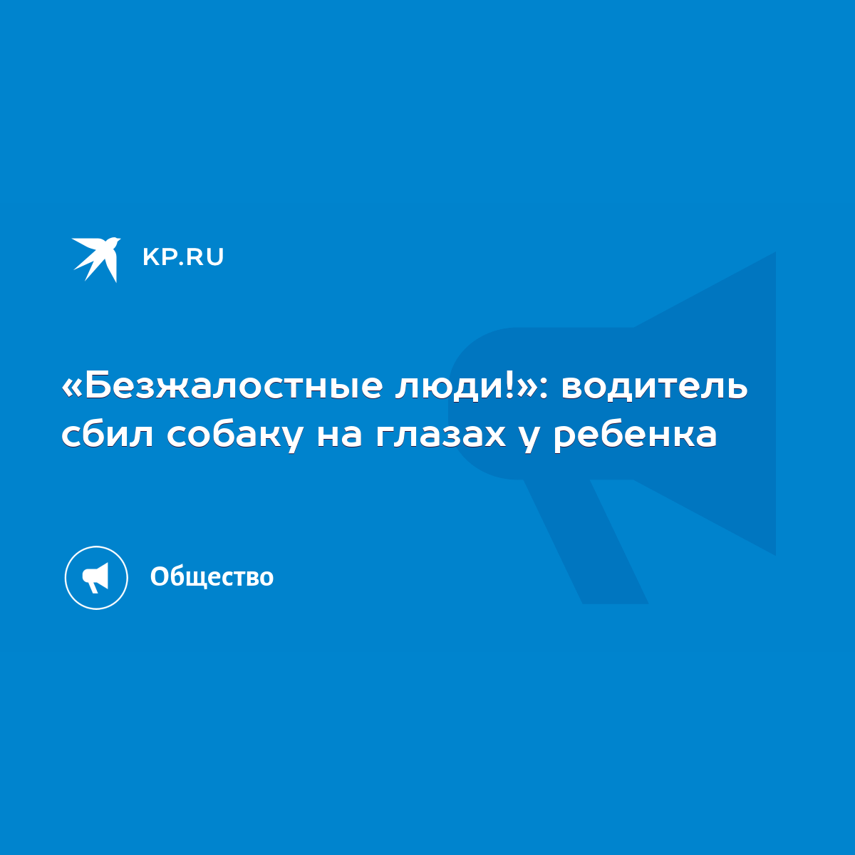 Безжалостные люди!»: водитель сбил собаку на глазах у ребенка - KP.RU