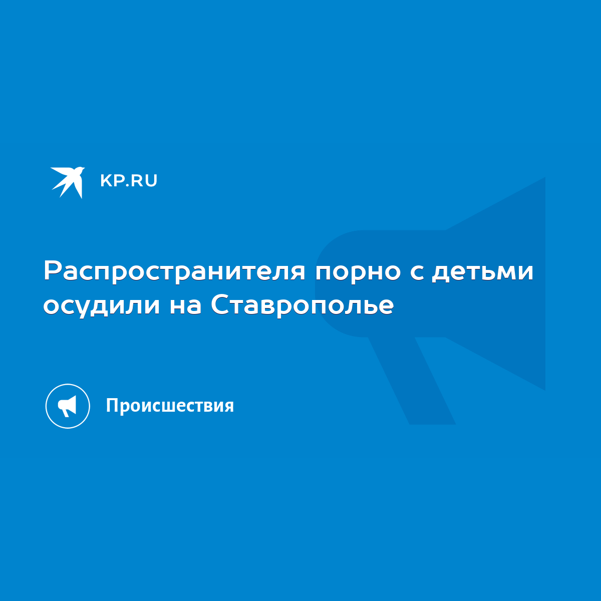 Распространителя порно с детьми осудили на Ставрополье - KP.RU