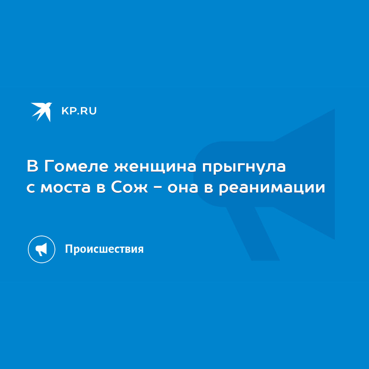 В Гомеле женщина прыгнула с моста в Сож - она в реанимации - KP.RU