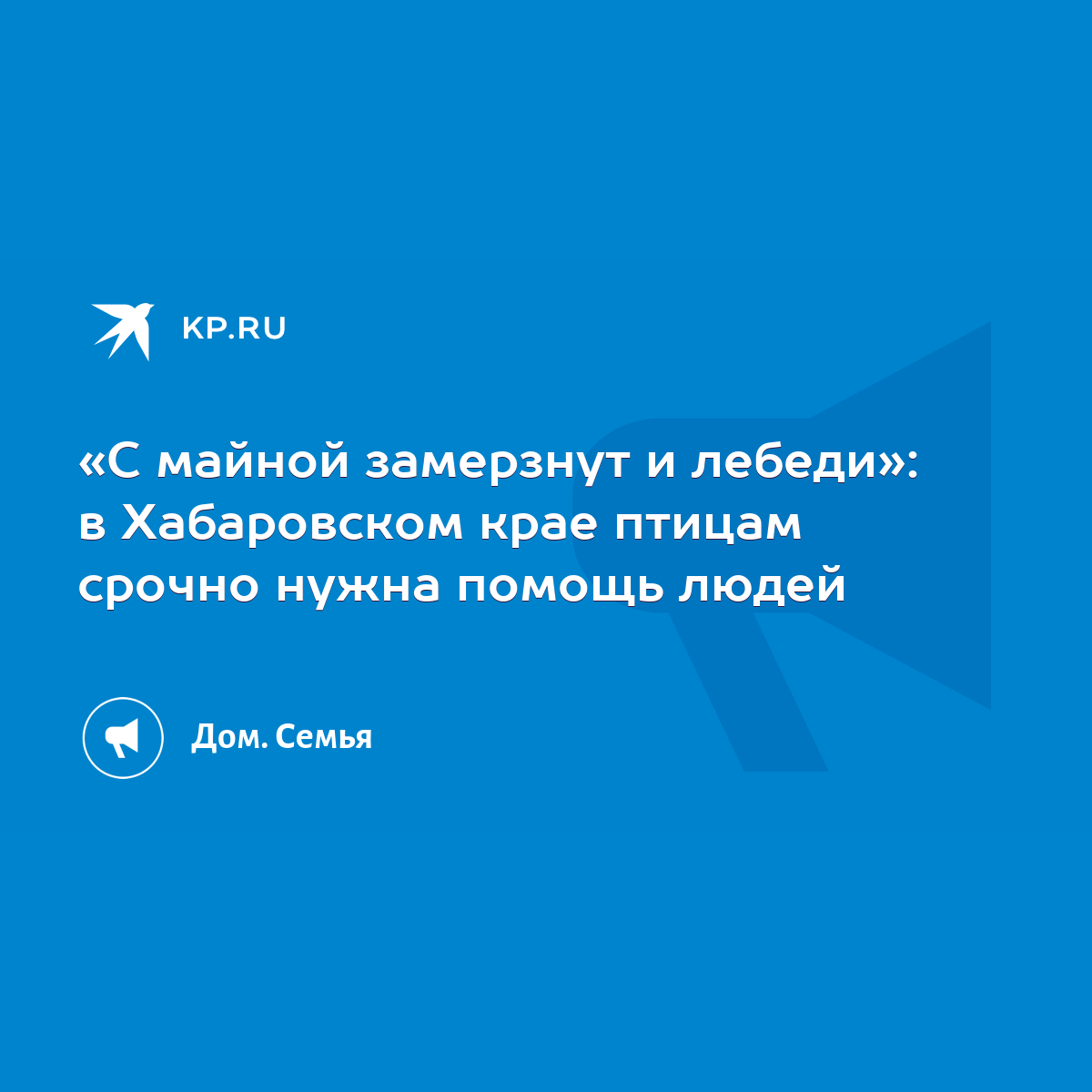 С майной замерзнут и лебеди»: в Хабаровском крае птицам срочно нужна помощь  людей - KP.RU