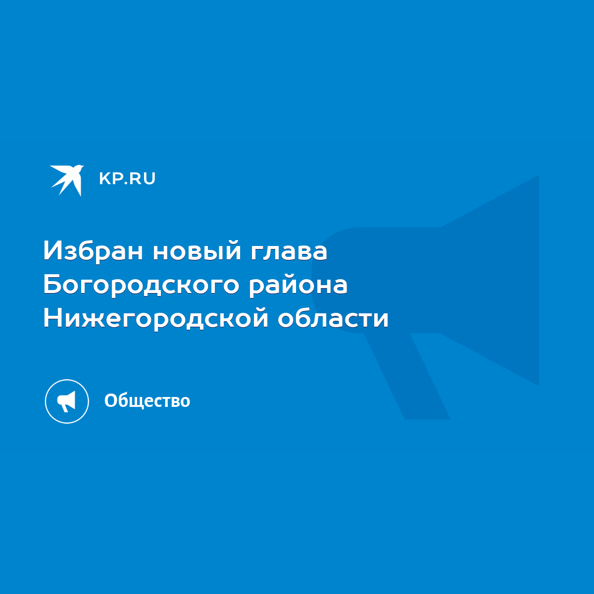 Избран новый глава Богородского района Нижегородской области - KP.RU