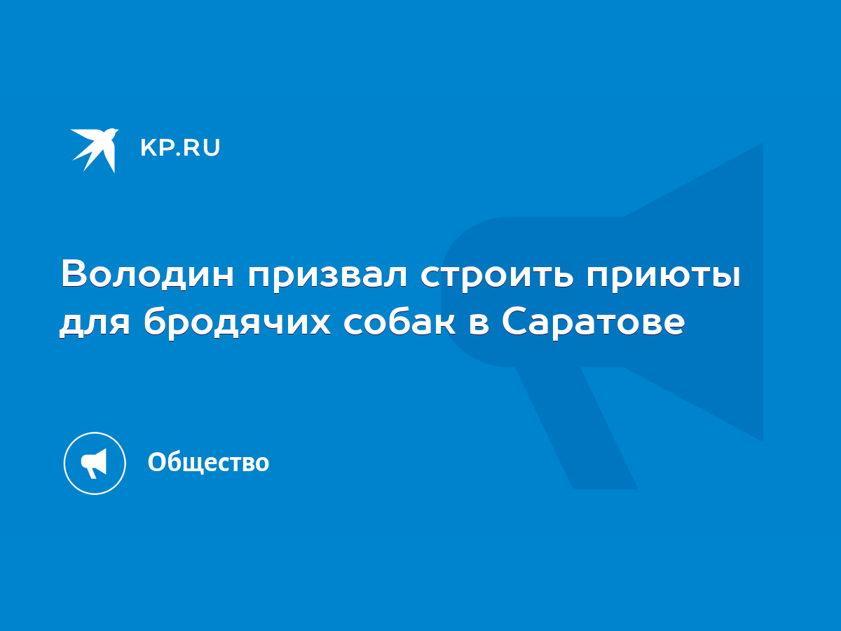 Володин призвал строить приюты для бродячих собак в Саратове - KP.RU