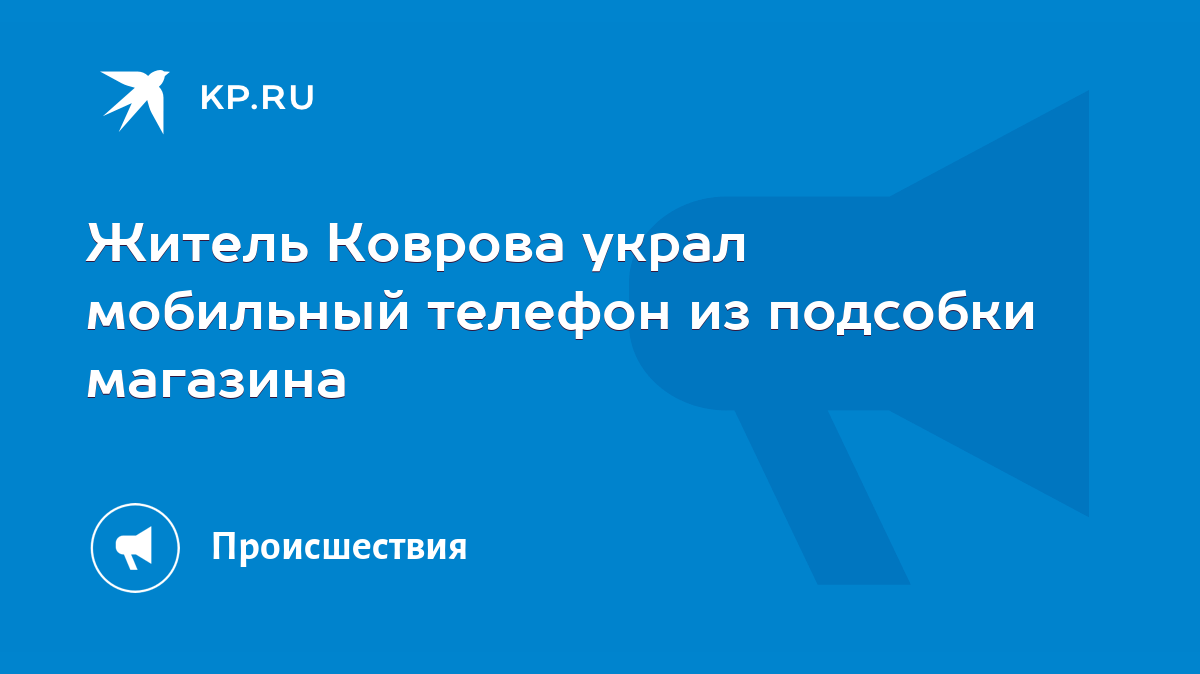 Житель Коврова украл мобильный телефон из подсобки магазина - KP.RU