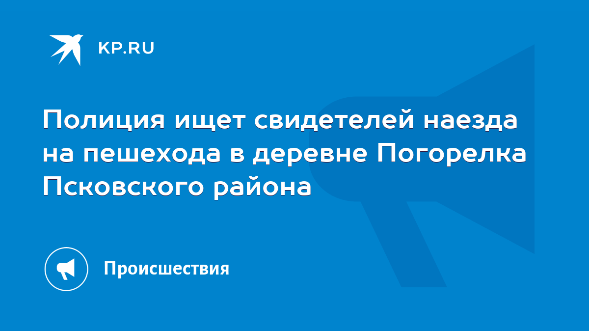 Полиция ищет свидетелей наезда на пешехода в деревне Погорелка Псковского  района - KP.RU