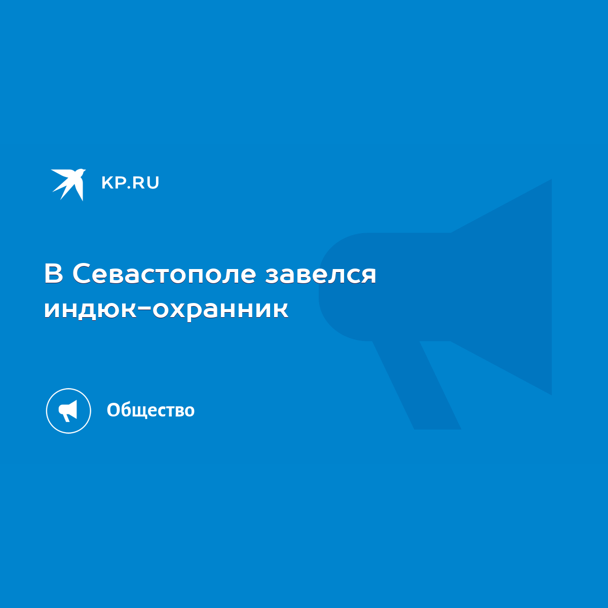 В Севастополе завелся индюк-охранник - KP.RU