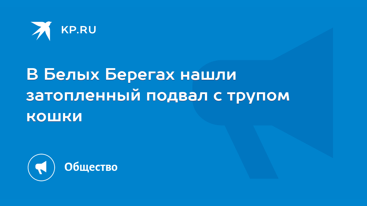 В Белых Берегах нашли затопленный подвал с трупом кошки - KP.RU