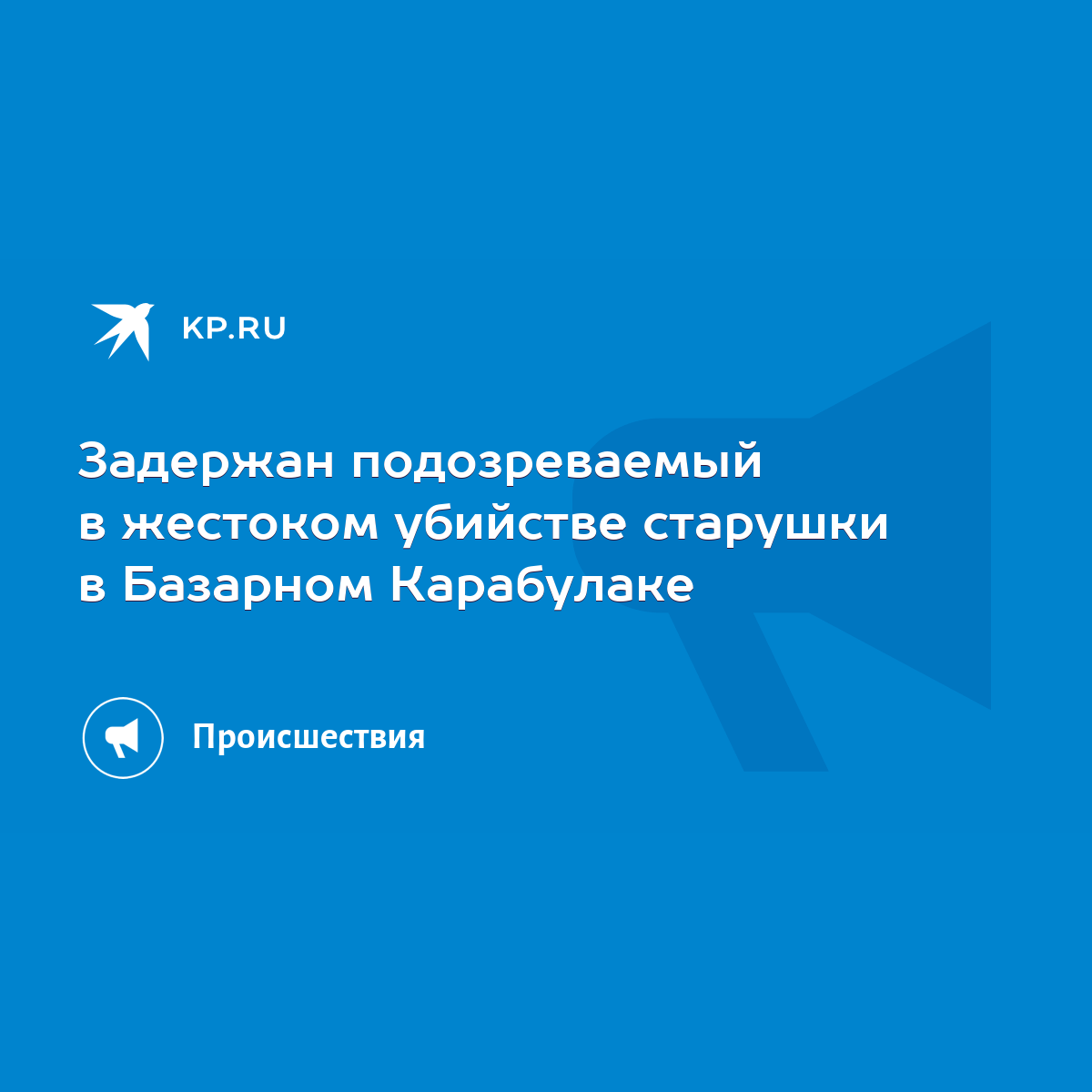 Задержан подозреваемый в жестоком убийстве старушки в Базарном Карабулаке -  KP.RU