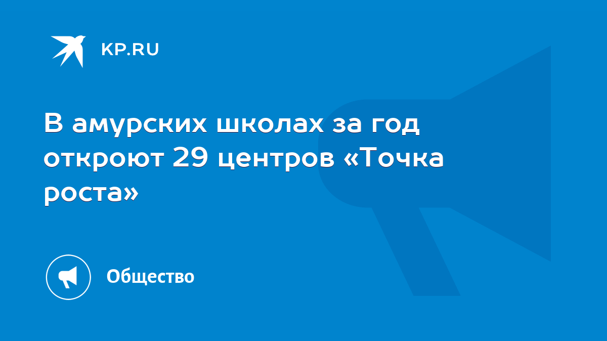 В амурских школах за год откроют 29 центров «Точка роста» - KP.RU