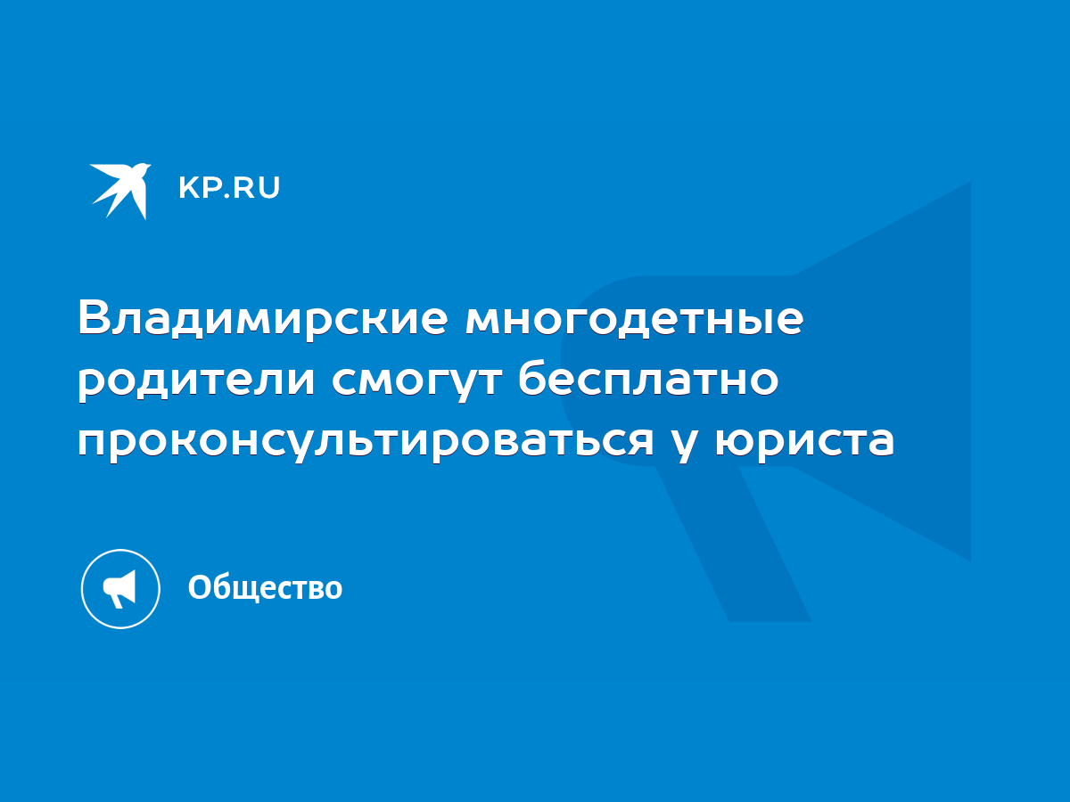 Владимирские многодетные родители смогут бесплатно проконсультироваться у  юриста - KP.RU