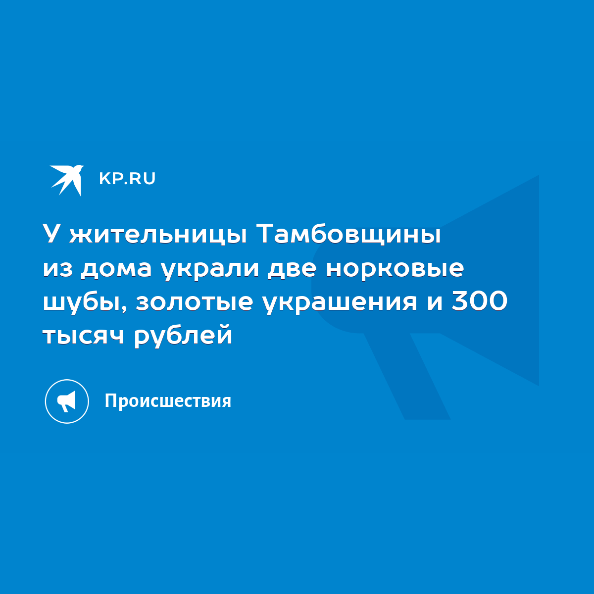 У жительницы Тамбовщины из дома украли две норковые шубы, золотые украшения  и 300 тысяч рублей - KP.RU