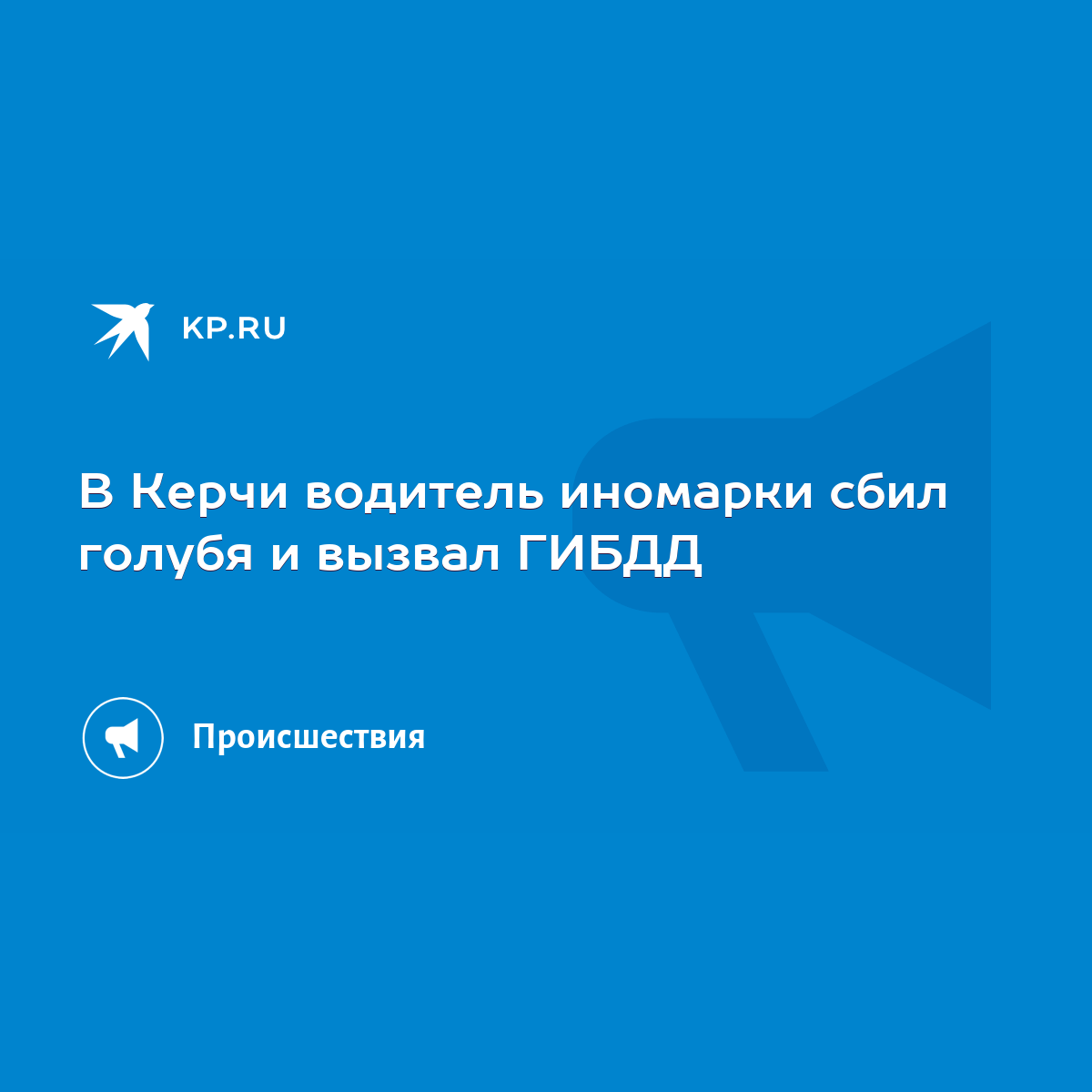 В Керчи водитель иномарки сбил голубя и вызвал ГИБДД - KP.RU