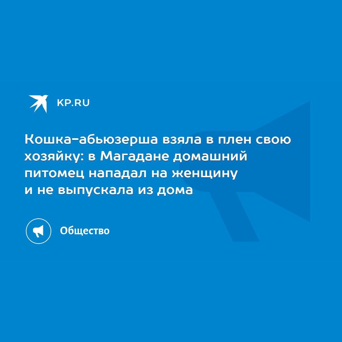 Кошка-абьюзерша взяла в плен свою хозяйку: в Магадане домашний питомец  нападал на женщину и не выпускала из дома - KP.RU