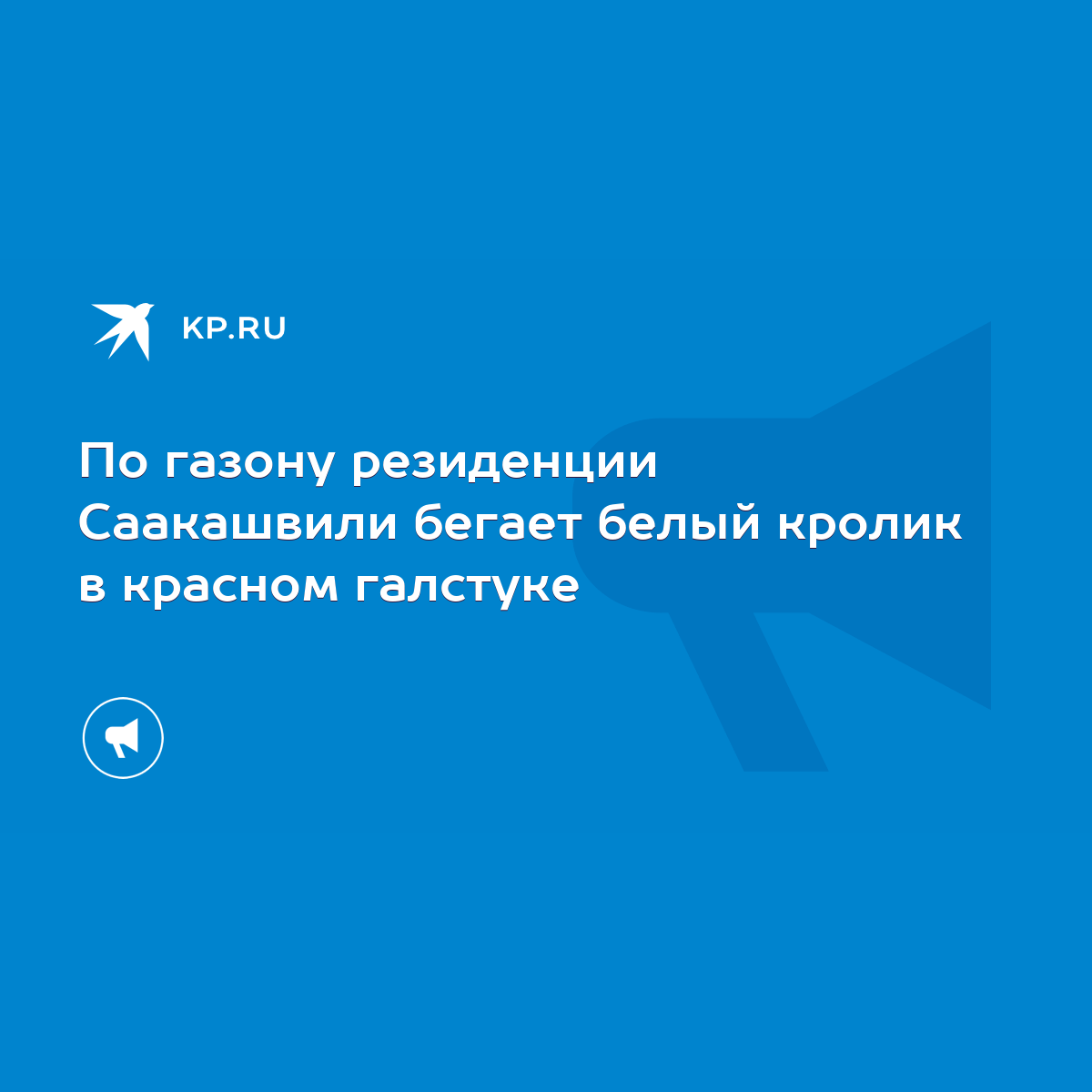 По газону резиденции Саакашвили бегает белый кролик в красном галстуке -  KP.RU