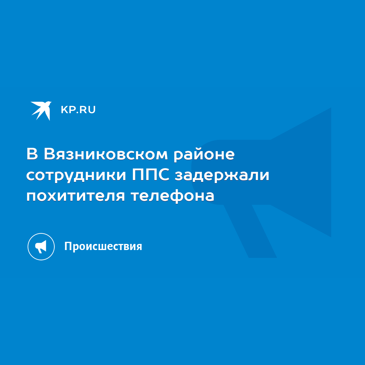 В Вязниковском районе сотрудники ППС задержали похитителя телефона - KP.RU