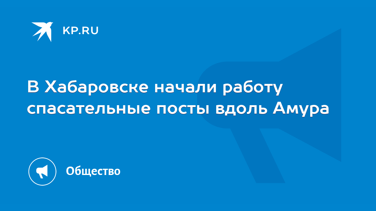 В Хабаровске начали работу спасательные посты вдоль Амура - KP.RU