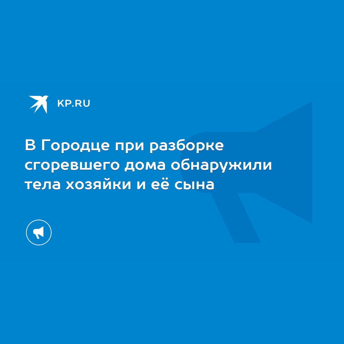 В Городце при разборке сгоревшего дома обнаружили тела хозяйки и её сына -  KP.RU