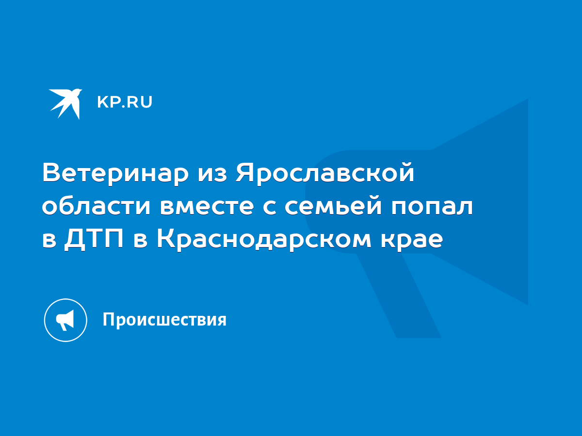 Ветеринар из Ярославской области вместе с семьей попал в ДТП в  Краснодарском крае - KP.RU