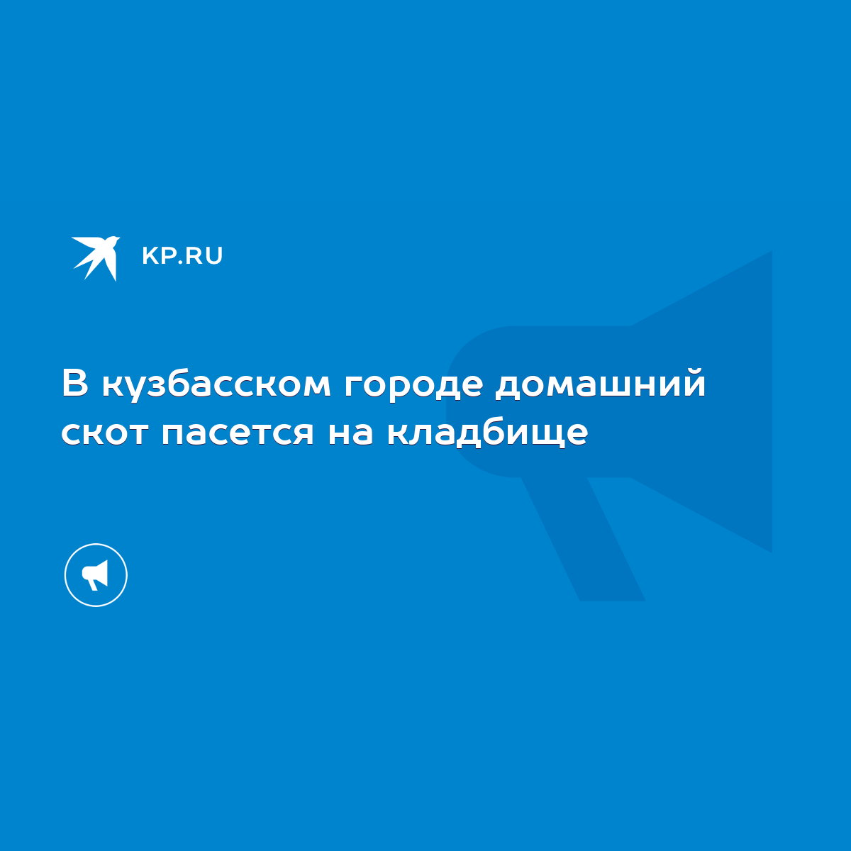 В кузбасском городе домашний скот пасется на кладбище - KP.RU