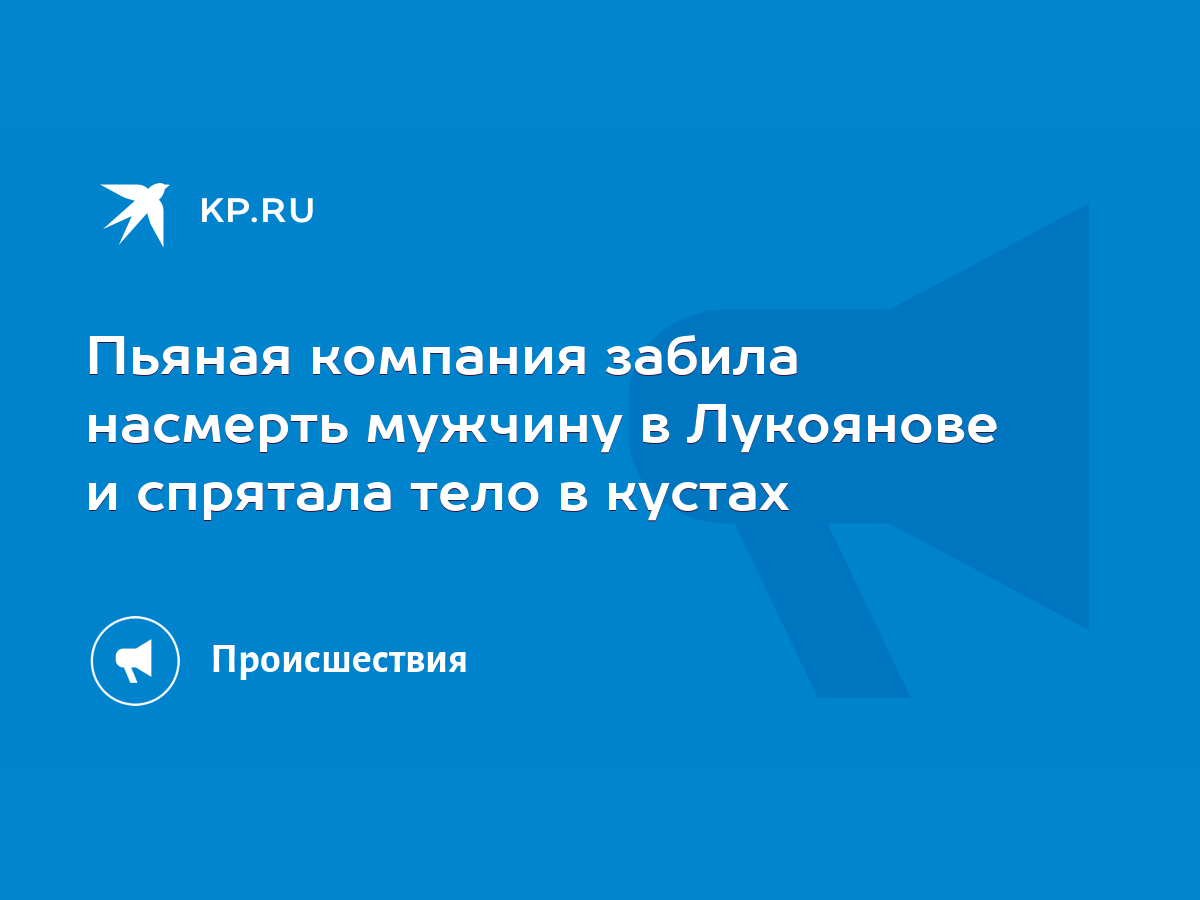 Пьяная компания забила насмерть мужчину в Лукоянове и спрятала тело в кустах  - KP.RU