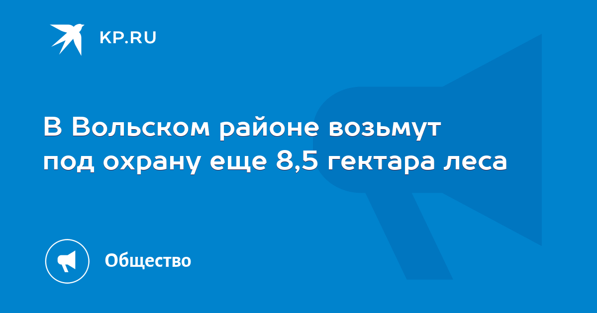 В Вольском районе возьмут под охрану еще 8,5 гектара леса - KP.RU