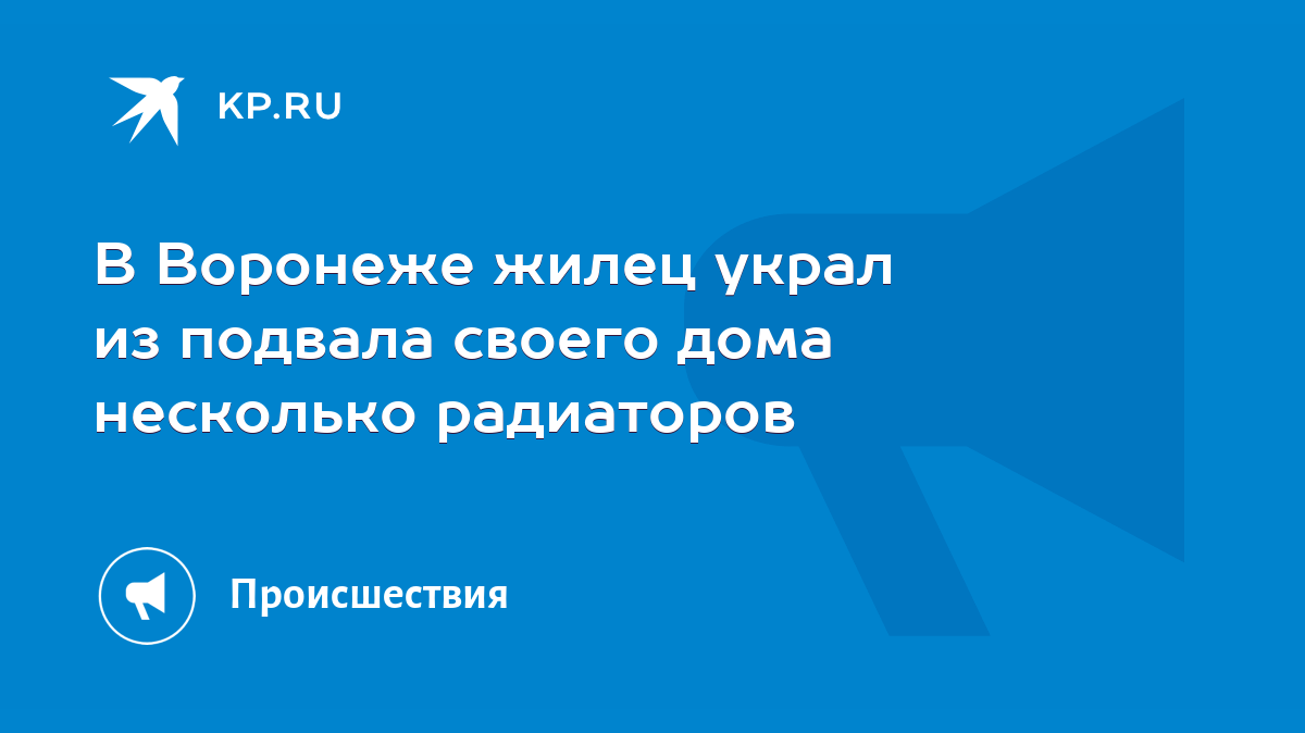 В Воронеже жилец украл из подвала своего дома несколько радиаторов - KP.RU