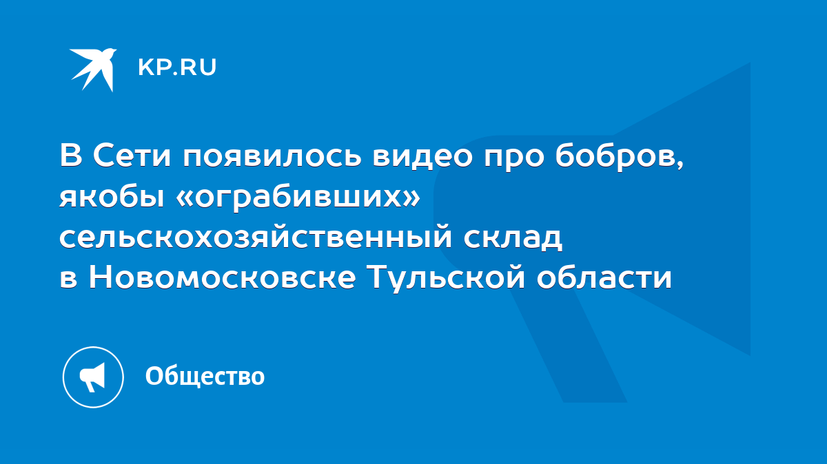 В Сети появилось видео про бобров, якобы «ограбивших» сельскохозяйственный  склад в Новомосковске Тульской области - KP.RU