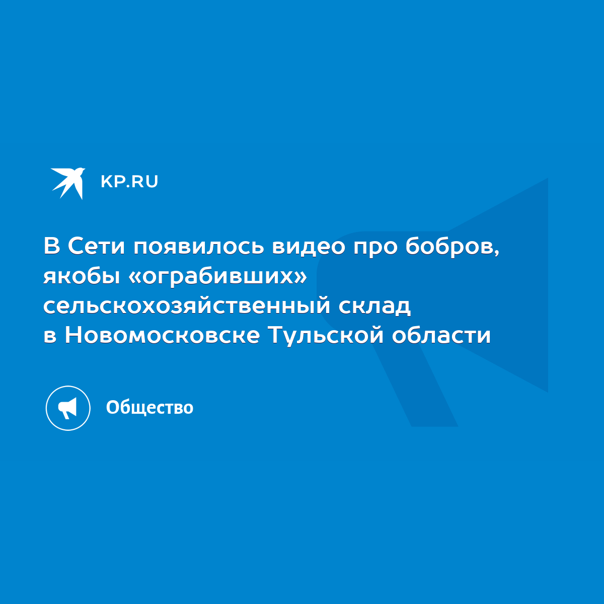 В Сети появилось видео про бобров, якобы «ограбивших» сельскохозяйственный  склад в Новомосковске Тульской области - KP.RU