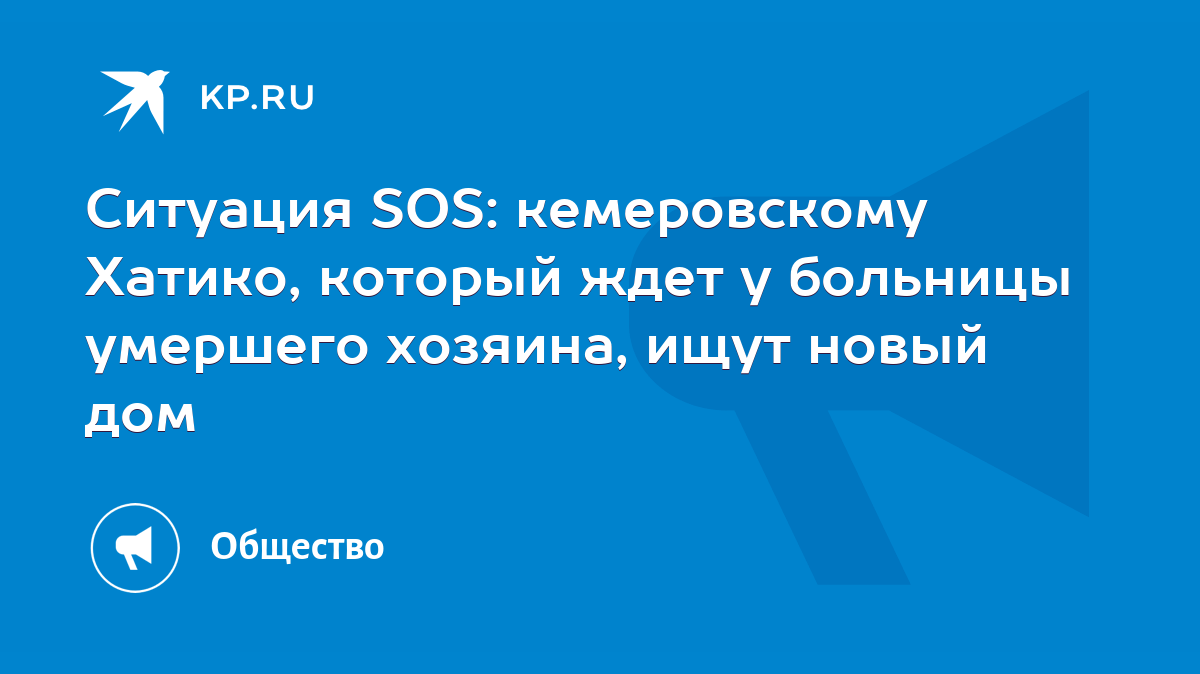 Ситуация SOS: кемеровскому Хатико, который ждет у больницы умершего  хозяина, ищут новый дом - KP.RU