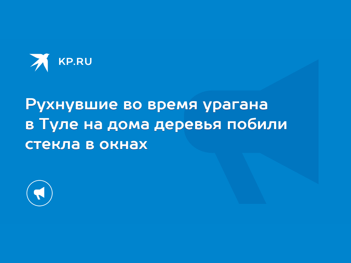 Рухнувшие во время урагана в Туле на дома деревья побили стекла в окнах -  KP.RU