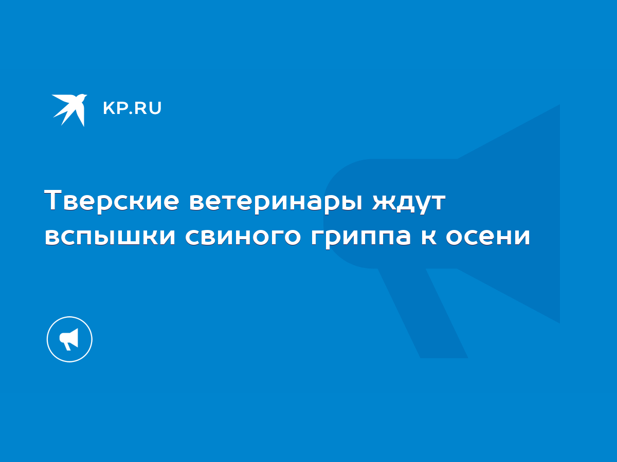 Тверские ветеринары ждут вспышки свиного гриппа к осени - KP.RU