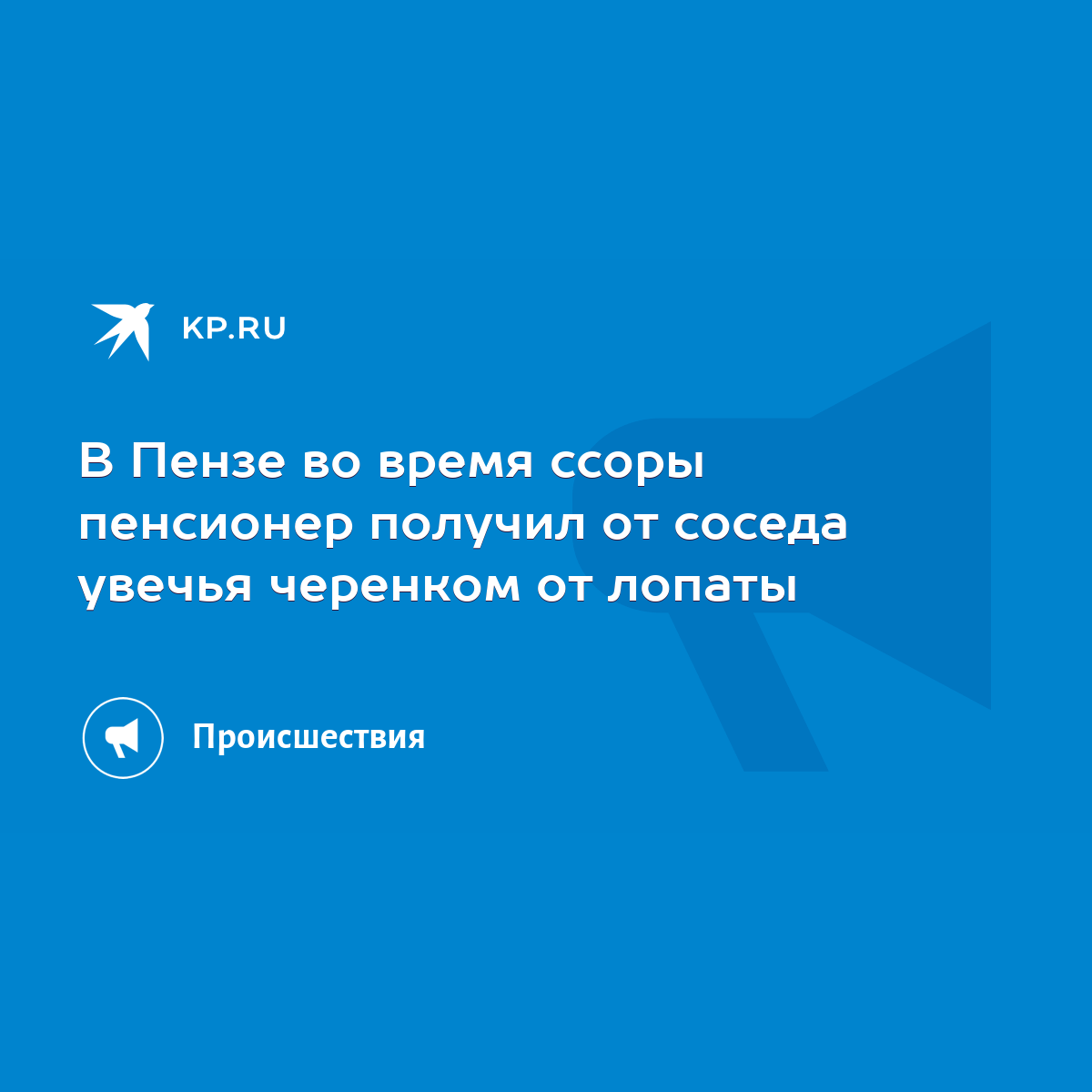 В Пензе во время ссоры пенсионер получил от соседа увечья черенком от  лопаты - KP.RU