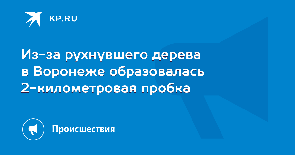 Из-за рухнувшего дерева в Воронеже образовалась 2-километровая пробка ...