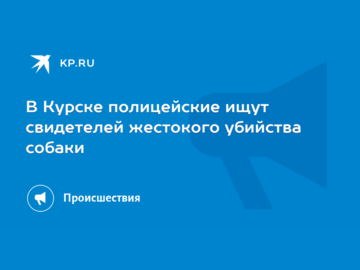 В Курске полицейские ищут свидетелей жестокого убийства собаки - KP.RU