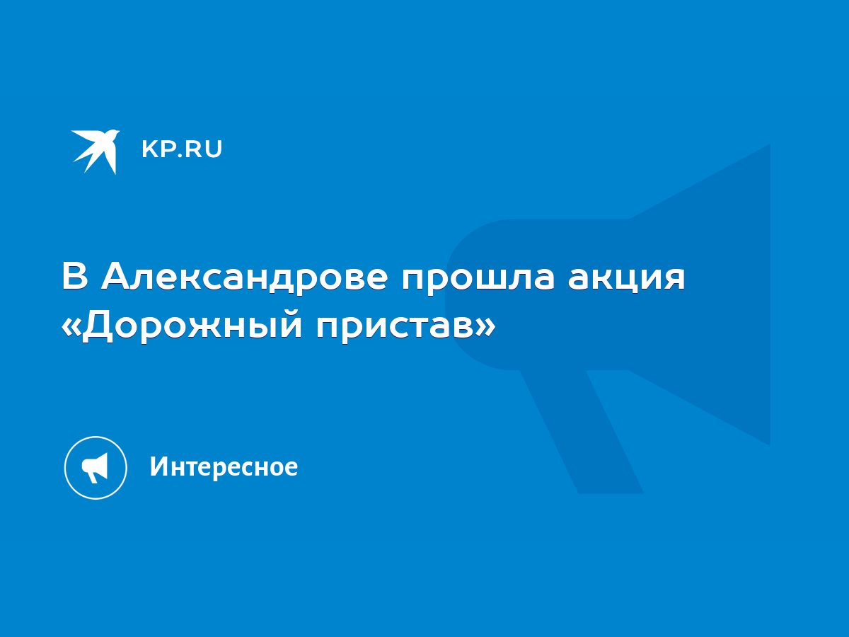 В Александрове прошла акция «Дорожный пристав» - KP.RU