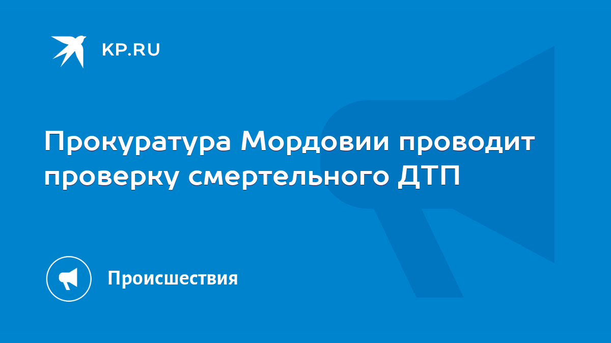 Прокуратура Мордовии проводит проверку смертельного ДТП - KP.RU