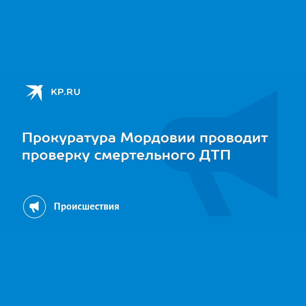 Прокуратура Мордовии проводит проверку смертельного ДТП - KP.RU