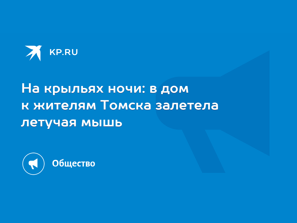 На крыльях ночи: в дом к жителям Томска залетела летучая мышь - KP.RU