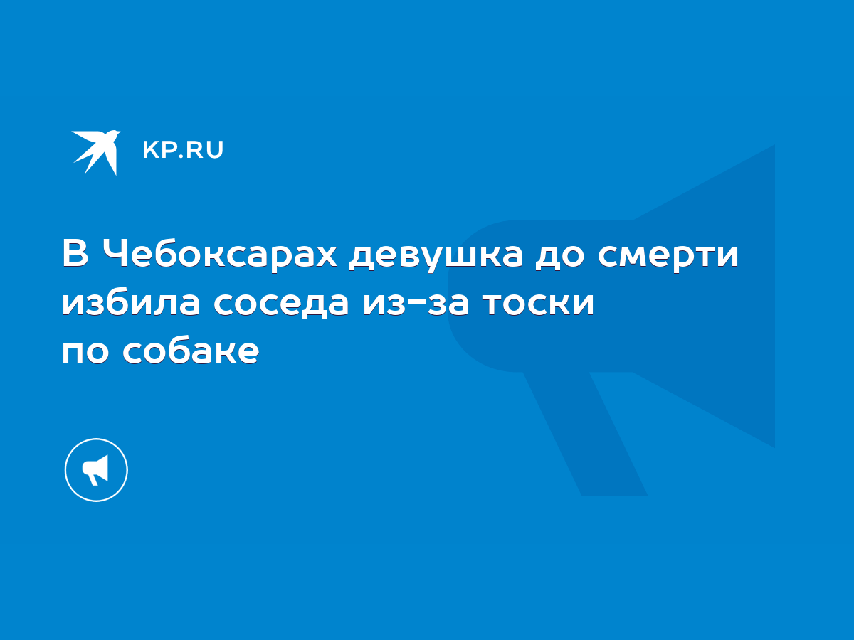 В Чебоксарах девушка до смерти избила соседа из-за тоски по собаке - KP.RU