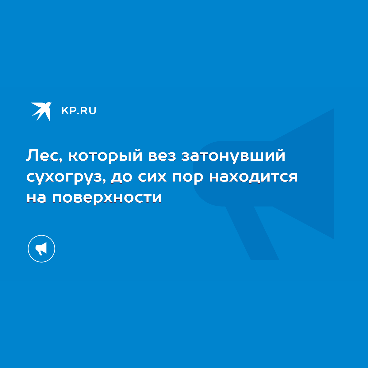 Лес, который вез затонувший сухогруз, до сих пор находится на поверхности -  KP.RU