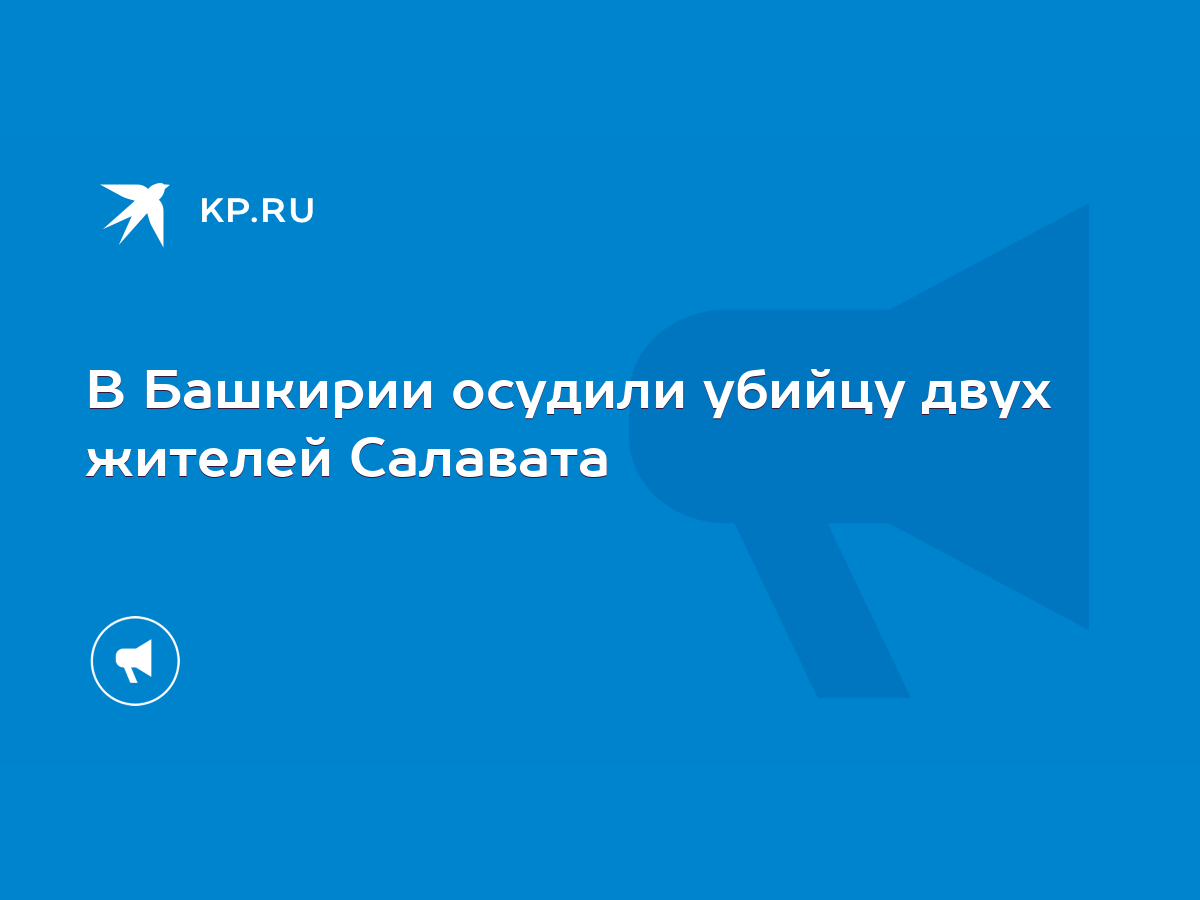 В Башкирии осудили убийцу двух жителей Салавата - KP.RU