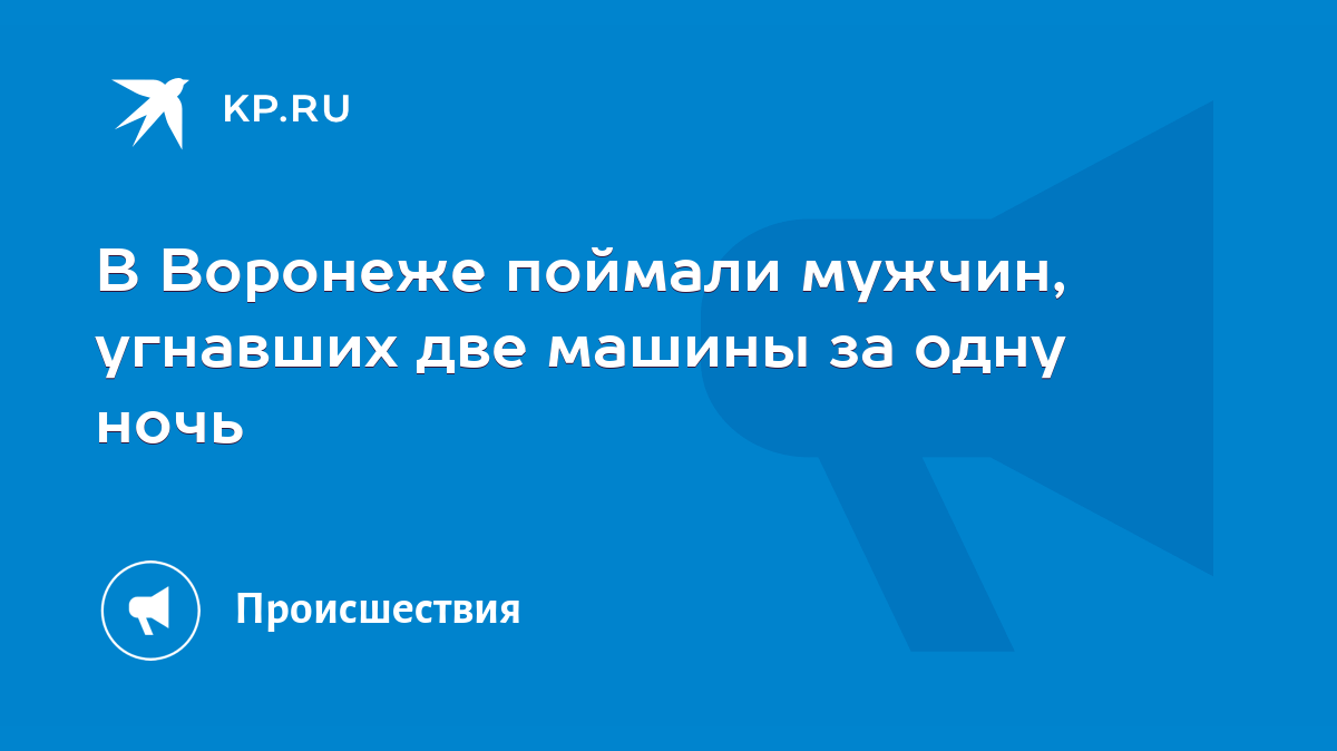 В Воронеже поймали мужчин, угнавших две машины за одну ночь - KP.RU