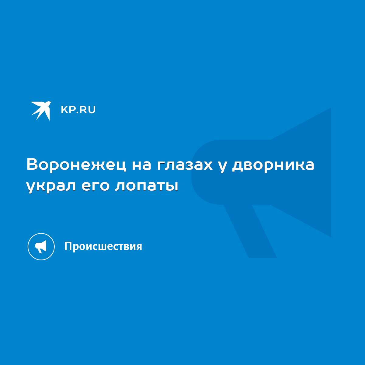 Воронежец на глазах у дворника украл его лопаты - KP.RU